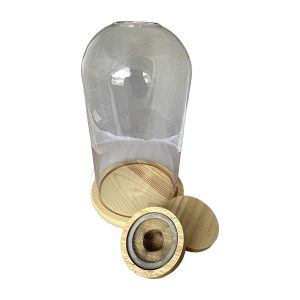 cloche smoking